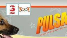 Pulsar  14.Bölüm izle