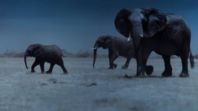 Night on Earth 1.Sezon 6.Bölüm izle