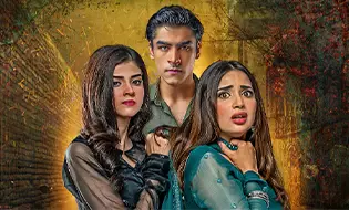 Kader İsterse 13.Bölüm izle