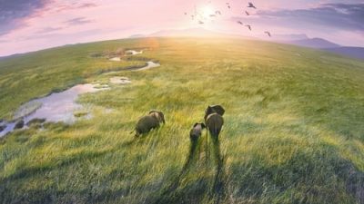 Planet Earth III 1.Sezon 7.Bölüm izle