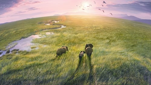 Planet Earth III 1.Sezon 5.Bölüm izle