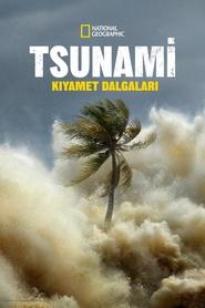 Tsunami: Kıyamet Dalgaları izle
