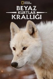Beyaz Kurtlar Krallığı izle