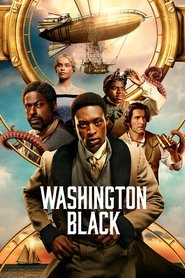 Washington Black Türkçe Dublaj izle