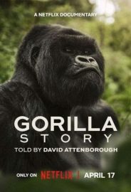David Attenborough: Bir Goril Hikâyesi