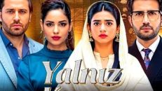 Yalnız Karar 24.Bölüm izle